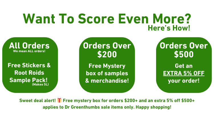 Green graphic with text about order bonuses.