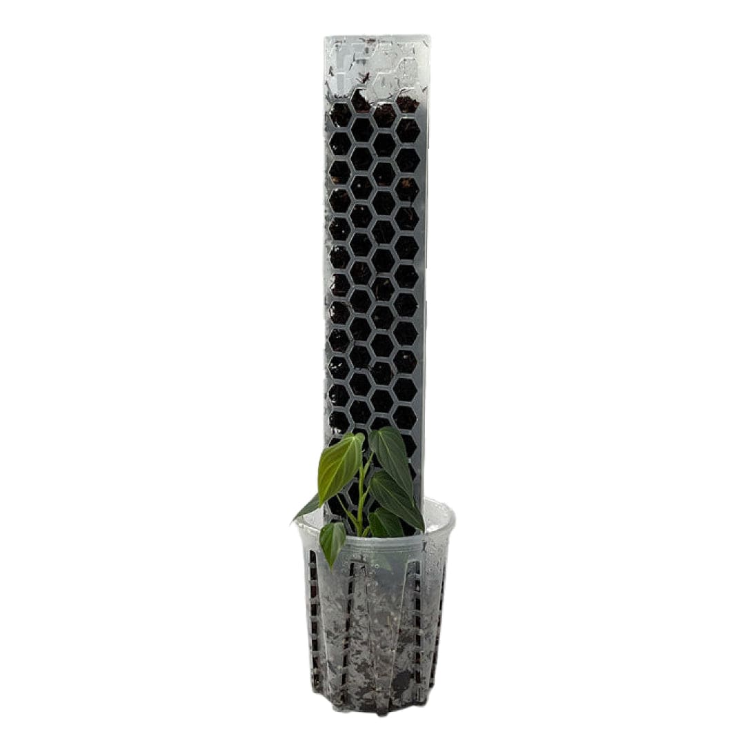 Dr Greenthumbs Glory Pole - Easy Assembly Totem Moss Pole