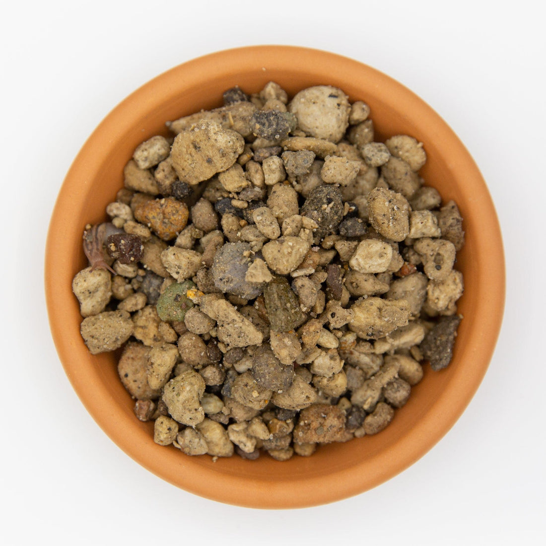 Pumice 420mm (Cactus/Succulent/Bonsai)