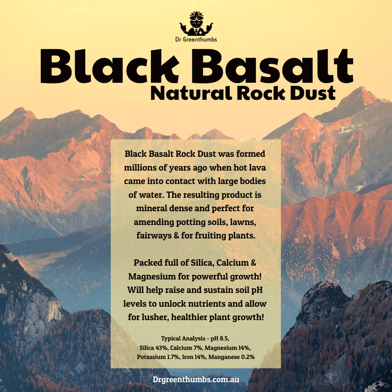 DIY Cactus Soil Mix Recipe (Metric) | Fast-Draining AU Blend